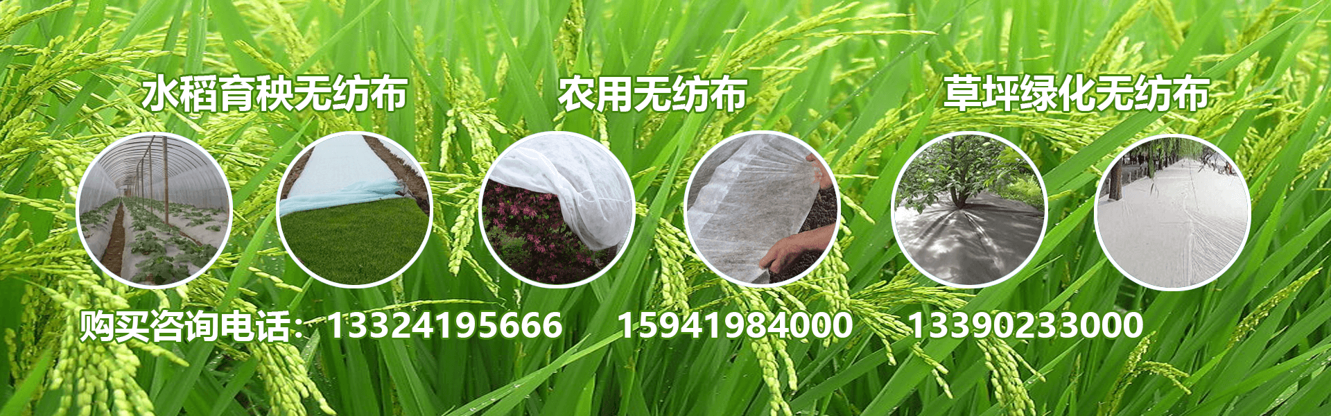 遼寧無(wú)紡布